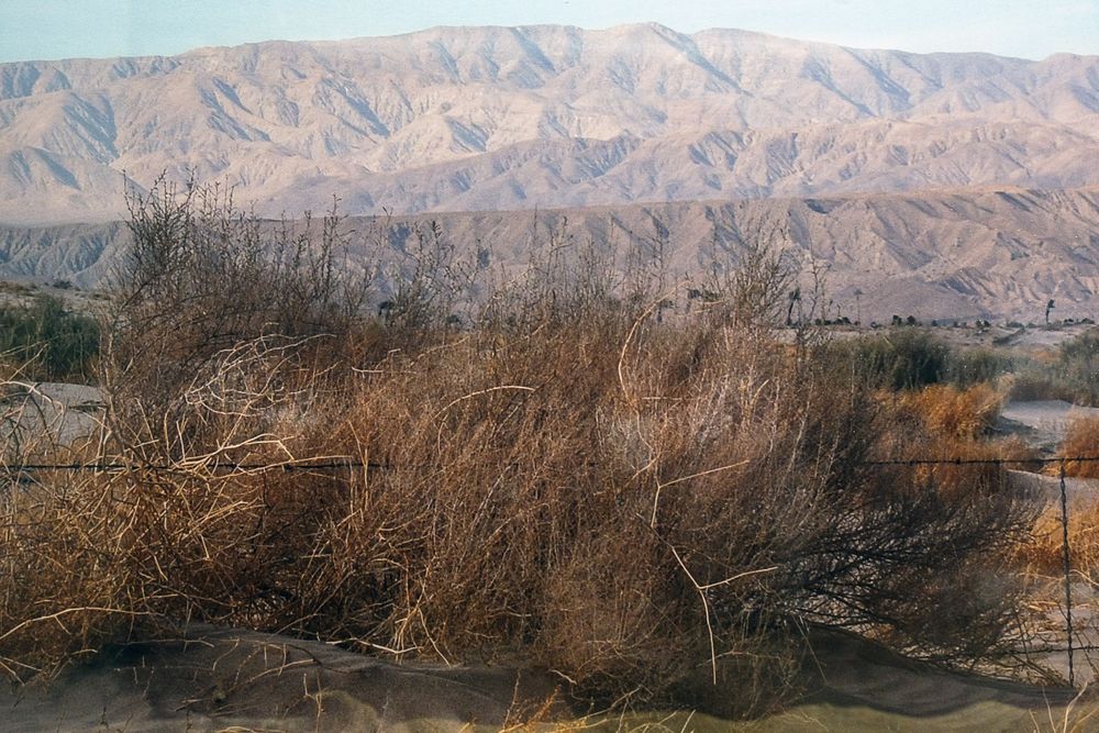 Desert landscape with dry scrub brush and barren mountains in background under hazy sky in California desert.