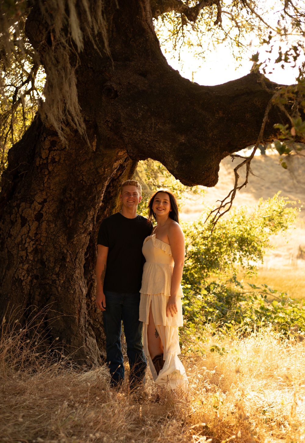 A romantic couple stands beneath a large tree trunk during golden hour in a sunlit meadow.