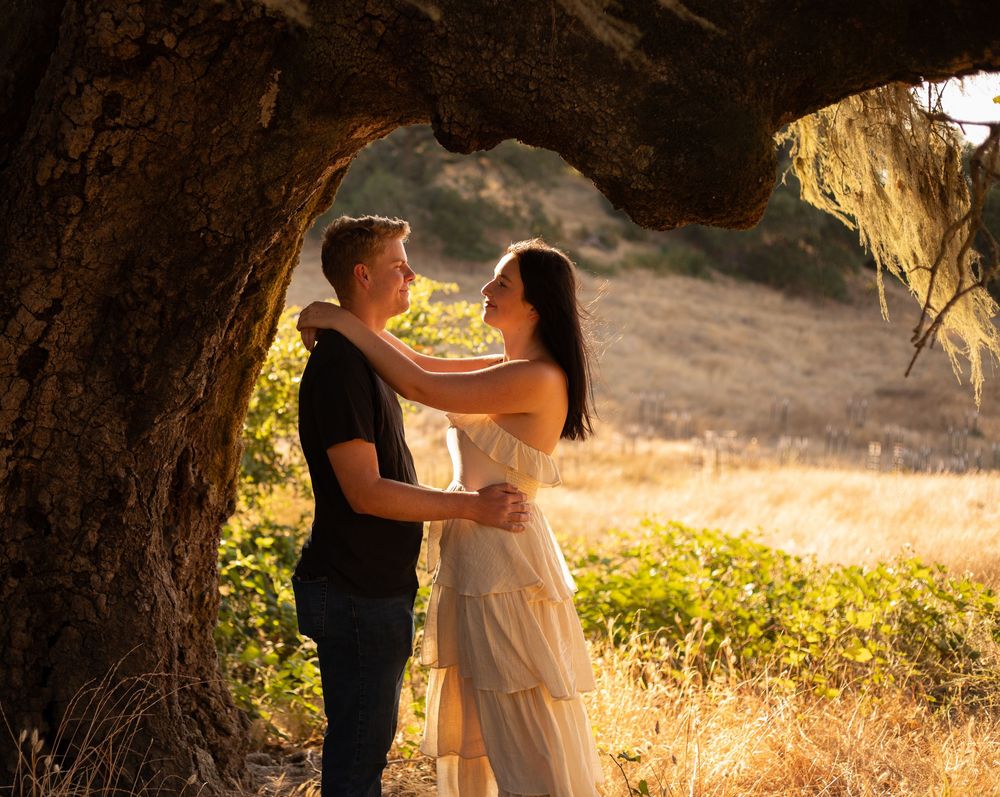Romantic couple embraces under a tree arch during golden hour in a scenic meadow.