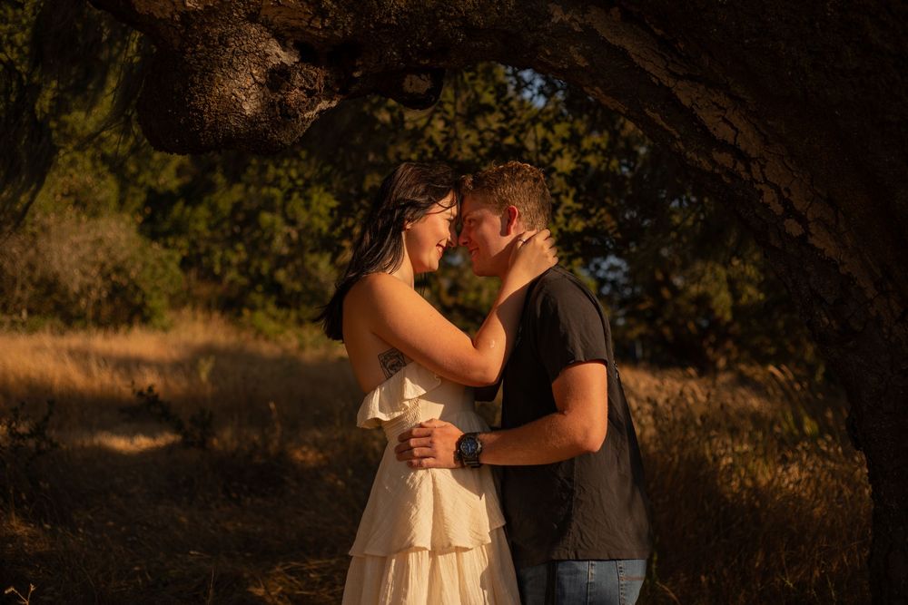 Romantic backlit photo session in a golden field with couple sharing intimate moments at dusk.