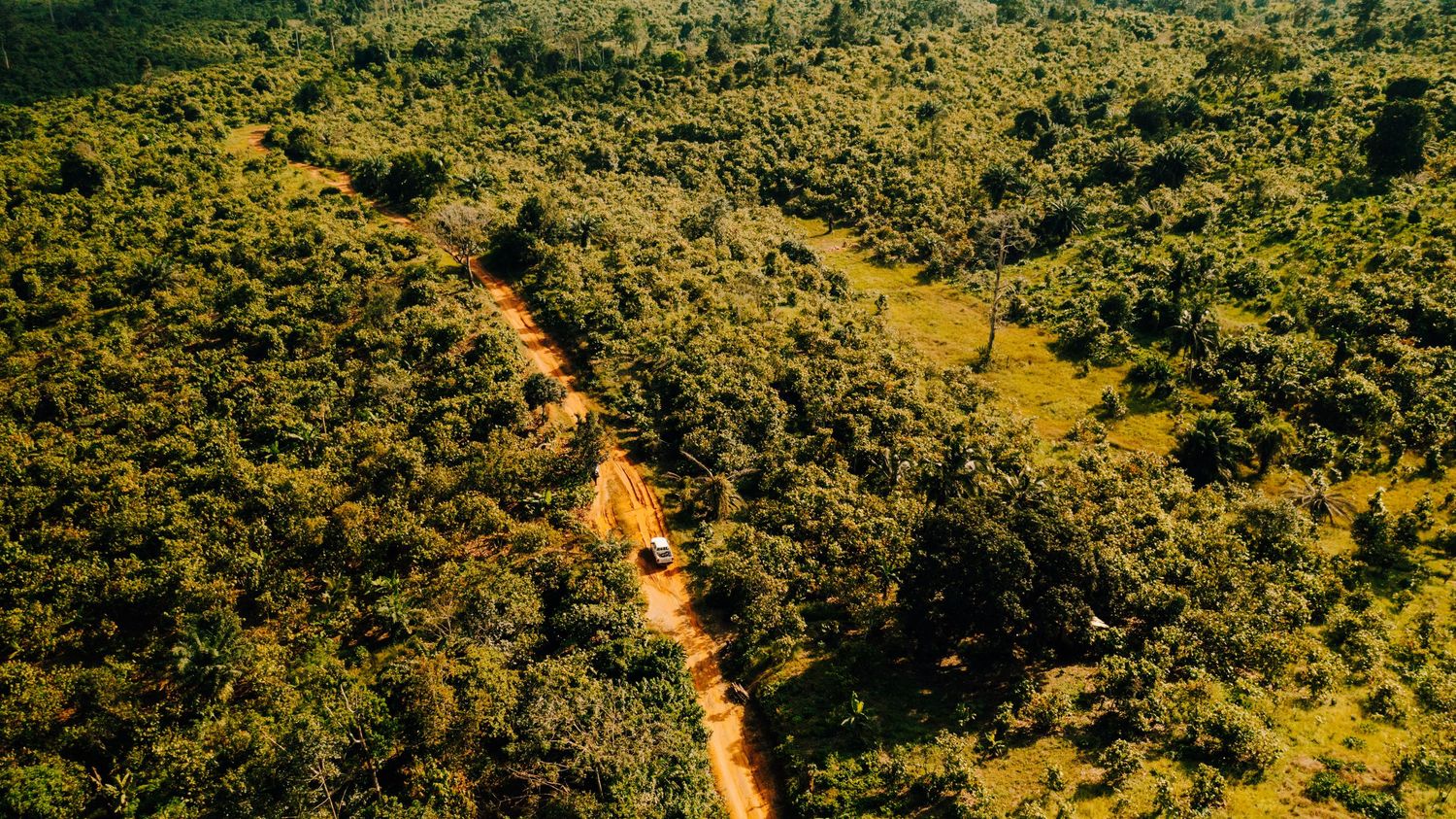 Aerial view of winding dirt roads cutting through vast yellow-green terrain.