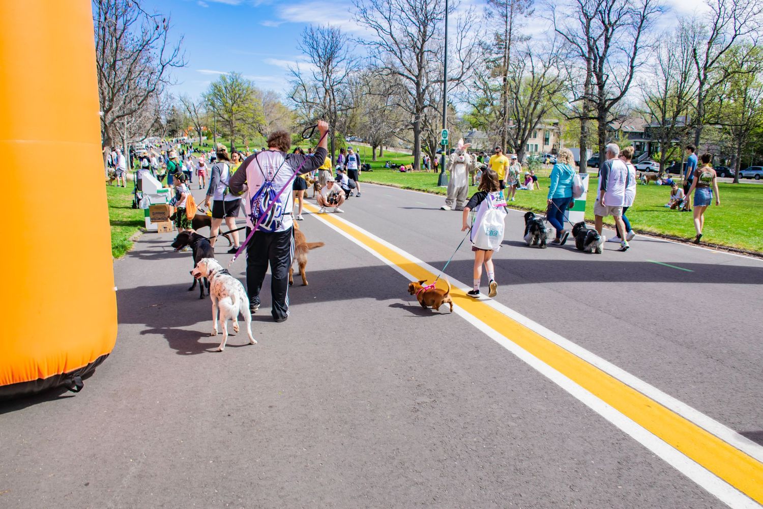 People walking dogs on a sunny day at an outdoor park event with an orange inflatable arch and yellow road markings.