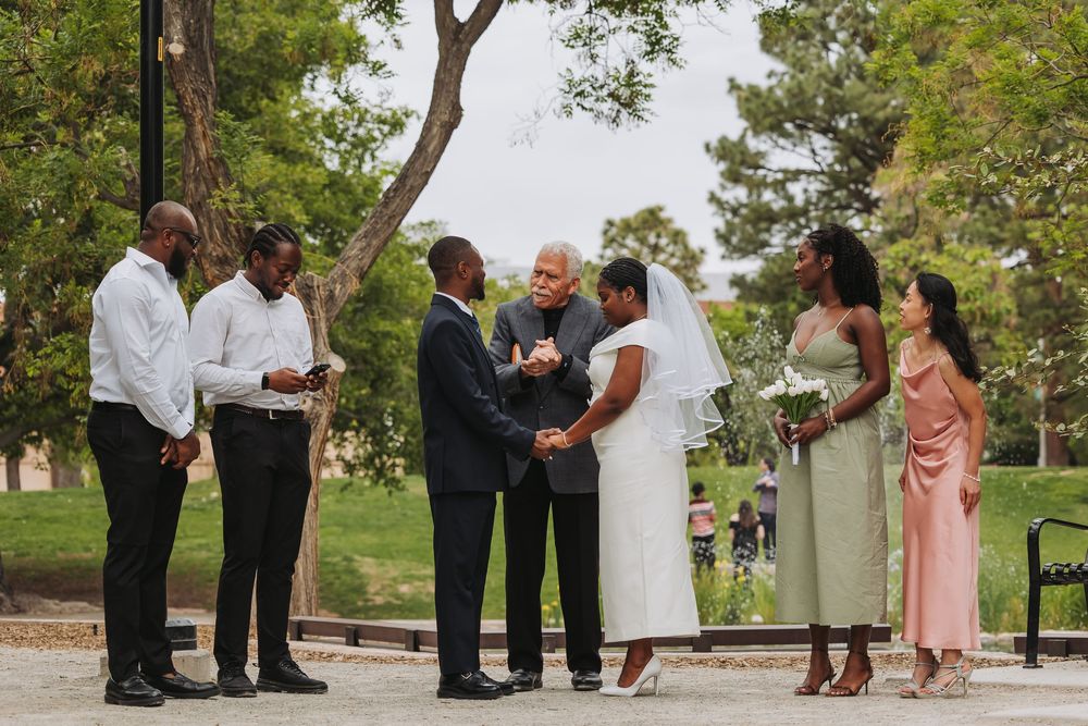 Outdoor wedding ceremony with couple exchanging vows, officiant, and guests in a park setting.