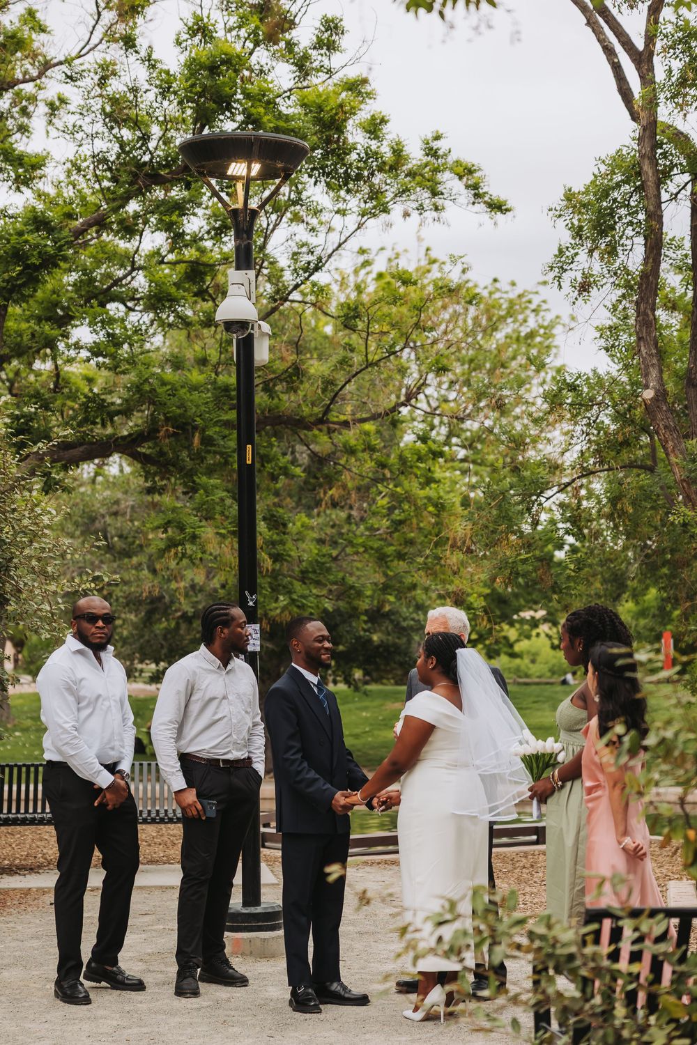 A wedding ceremony in a park with a groom, bride in white veil, and guests gathered near a lamp post.