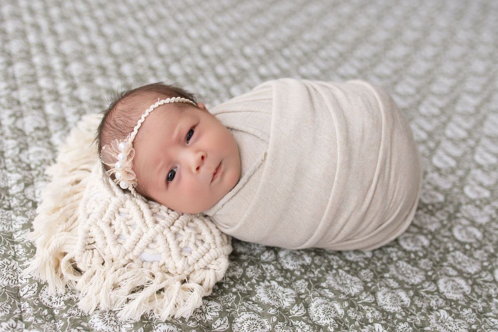 Kendall Kuss Photography, newborn photos in Watertown Wisconsin family photo studio