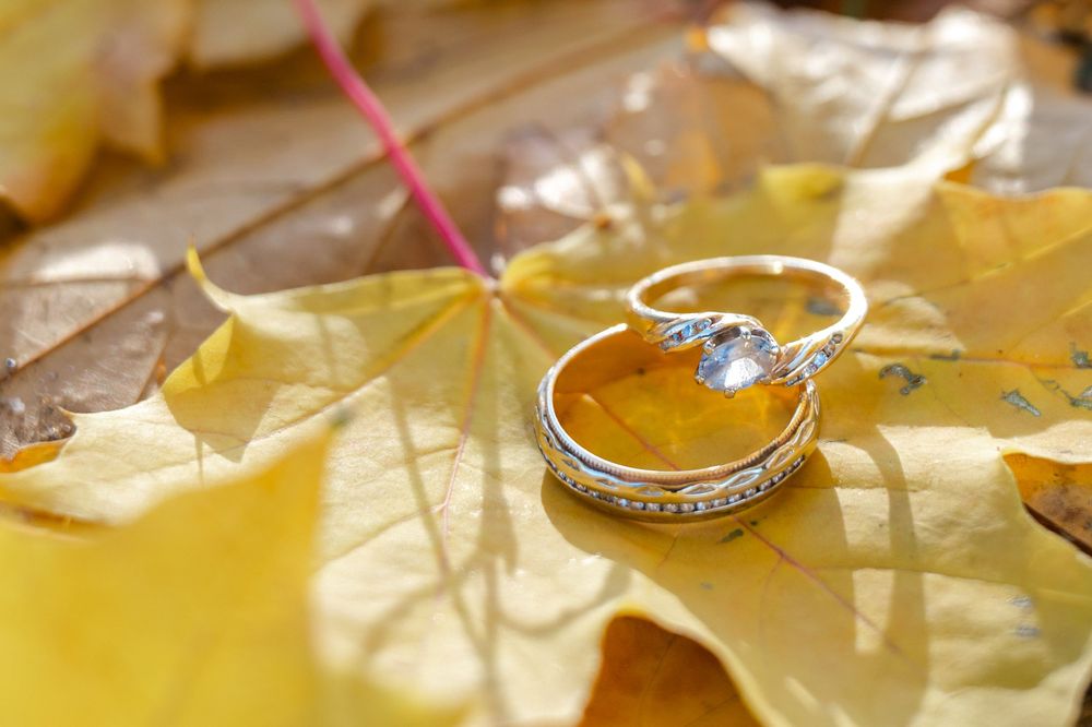 Two gold wedding rings with diamonds resting on golden autumn maple leaves outdoors.