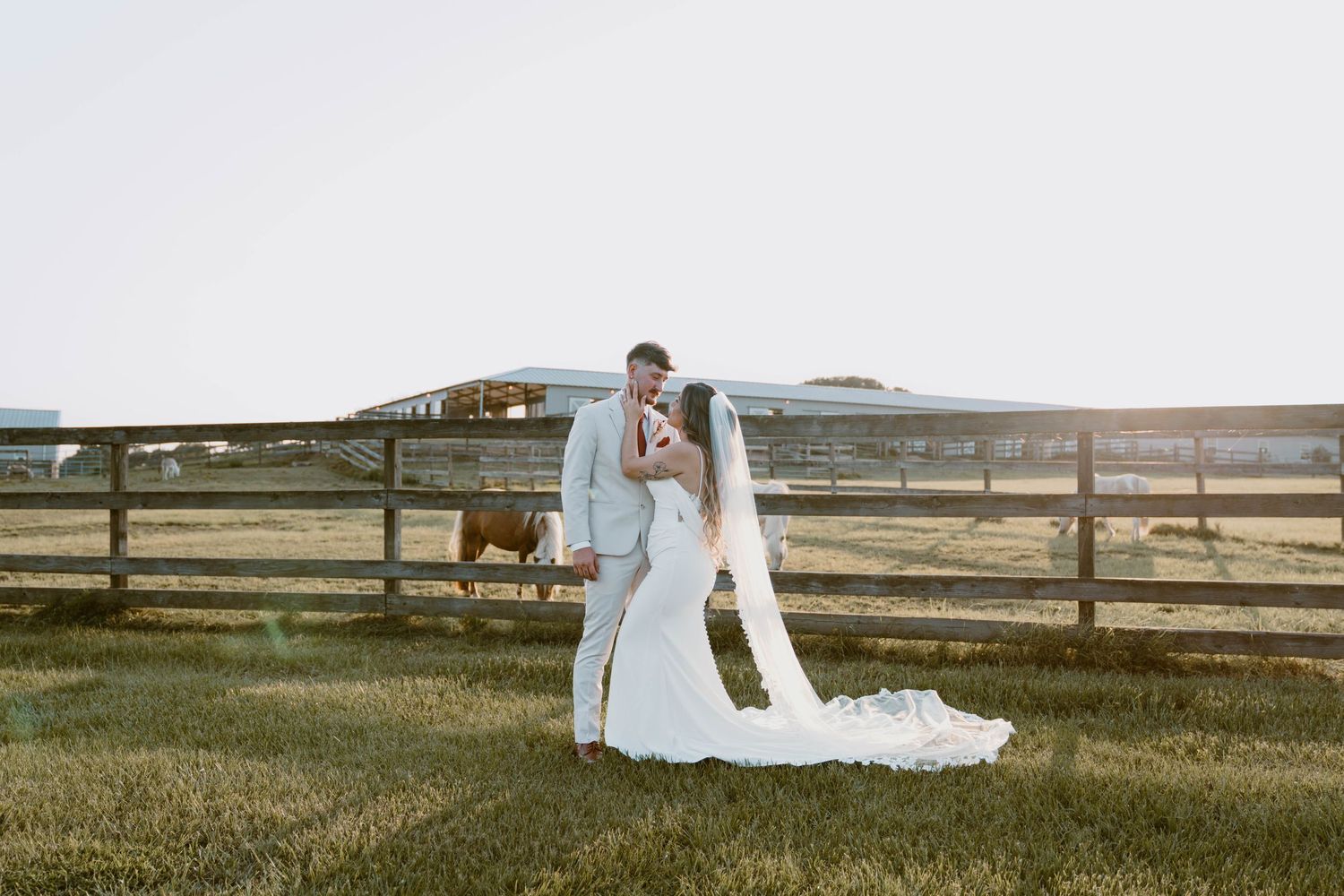 Bride and groom share a romantic kiss on a green farm lawn with wooden fencing and a horse in the background.