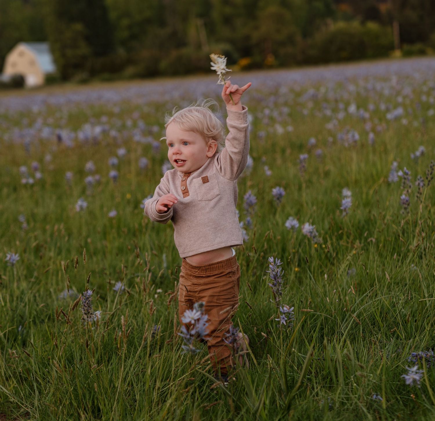 Toddler holding a wildflower in a blooming purple field at golden hour, wearing a beige sweater and brown pants.
