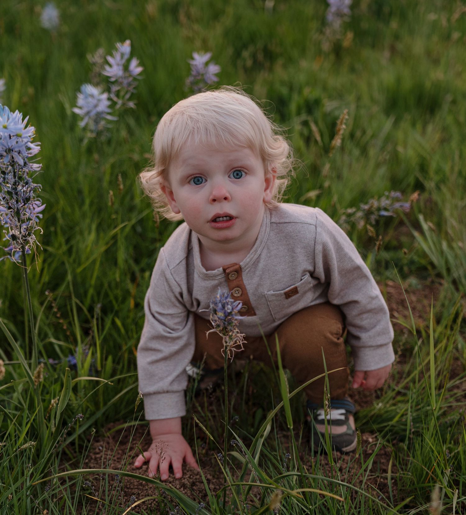 Blonde toddler with blue eyes crouching in a green meadow with purple wildflowers, wearing a beige sweater and brown pants.