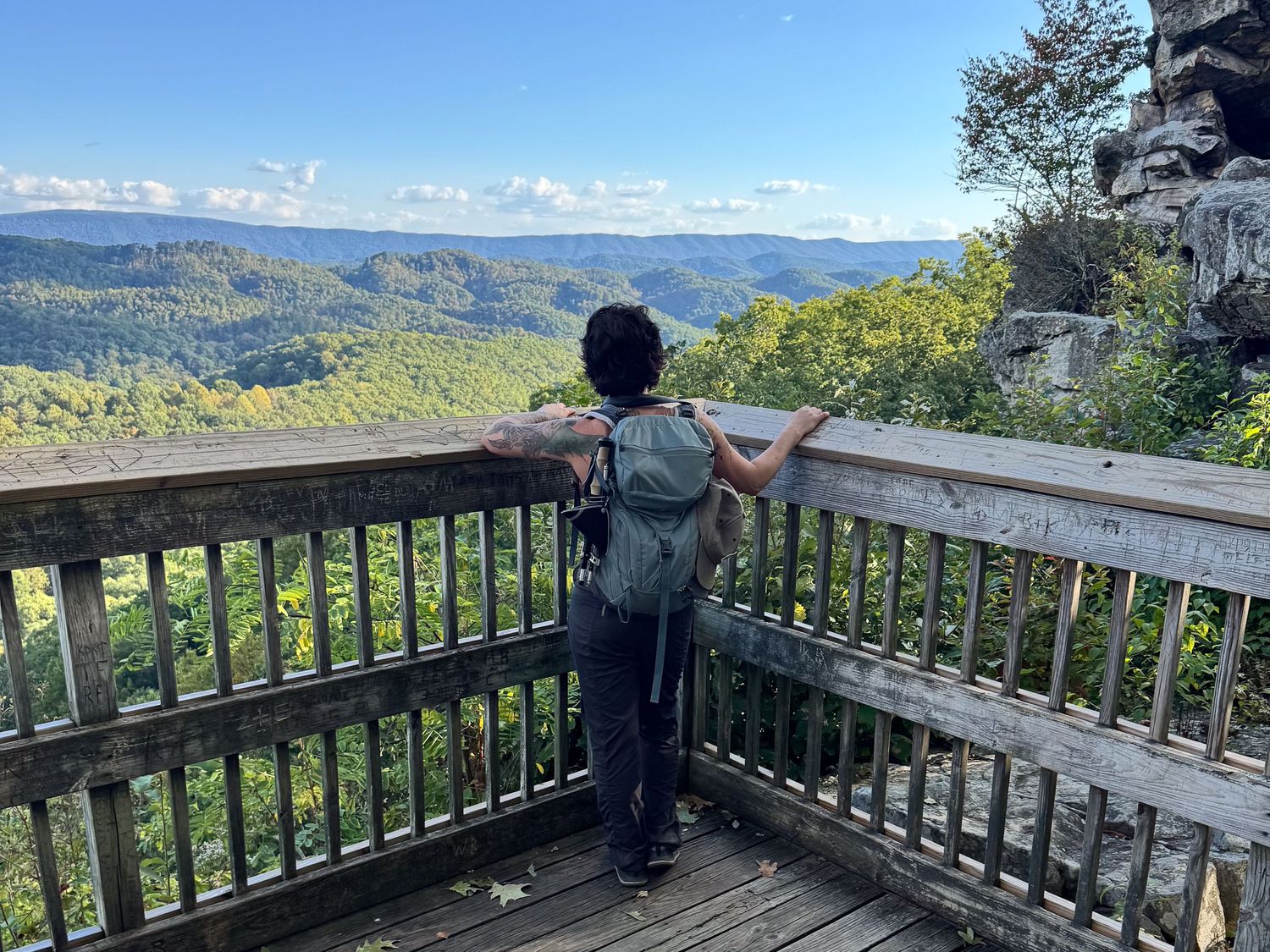 Hiker standing on wooden overlook deck enjoying panoramic mountain forest views on sunny day.