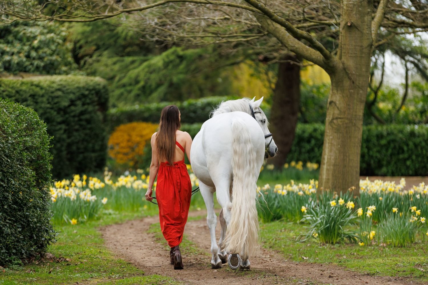 A Paint horse stands on a tree-lined path covered in fallen autumn leaves during a fall photo session.