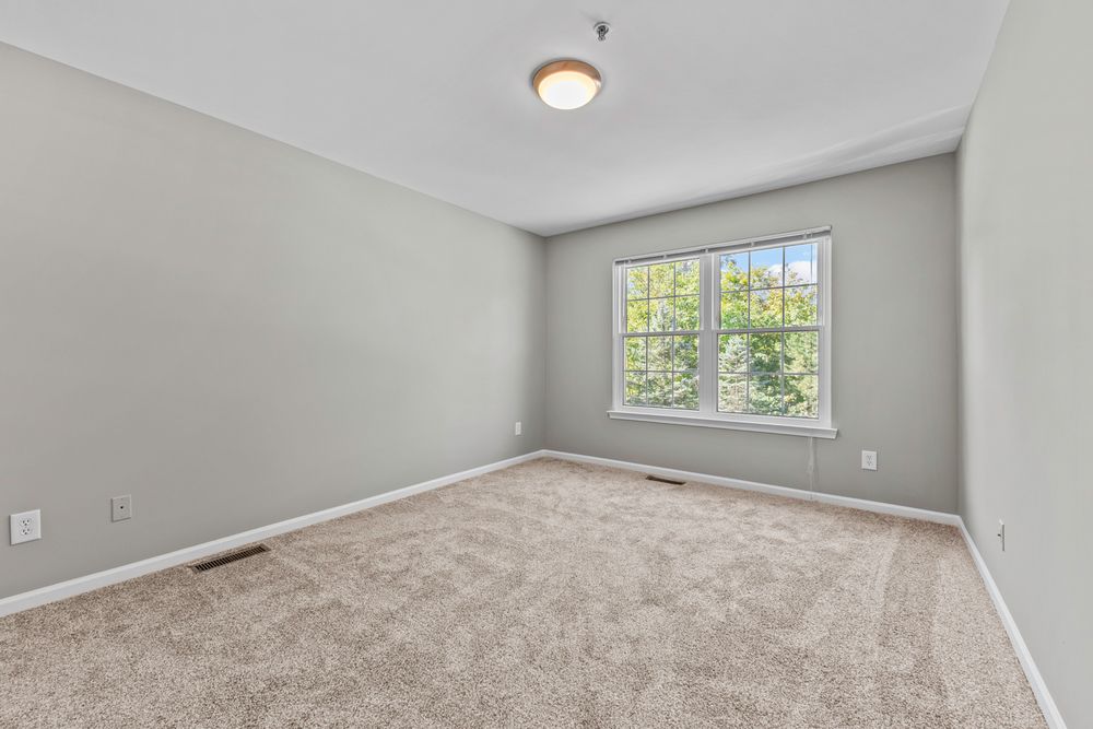 Bright empty bedroom with light green walls, beige carpet, and a large window overlooking greenery.
