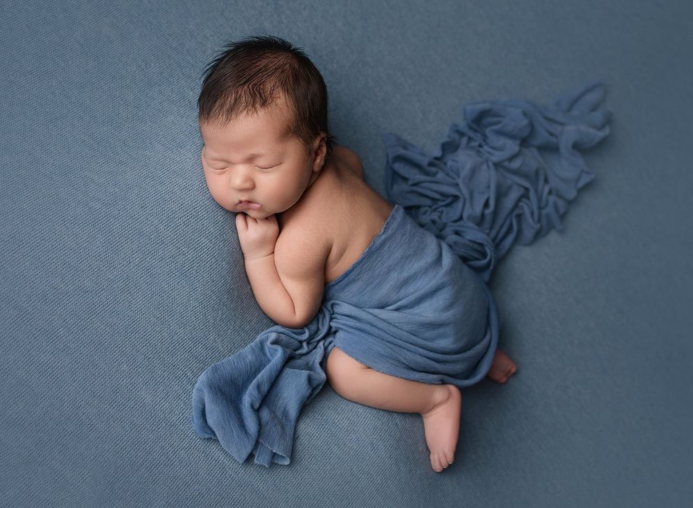 Tummy pose newborn photography session in Austin studio with baby wrapped on blue backdrop photographed from above