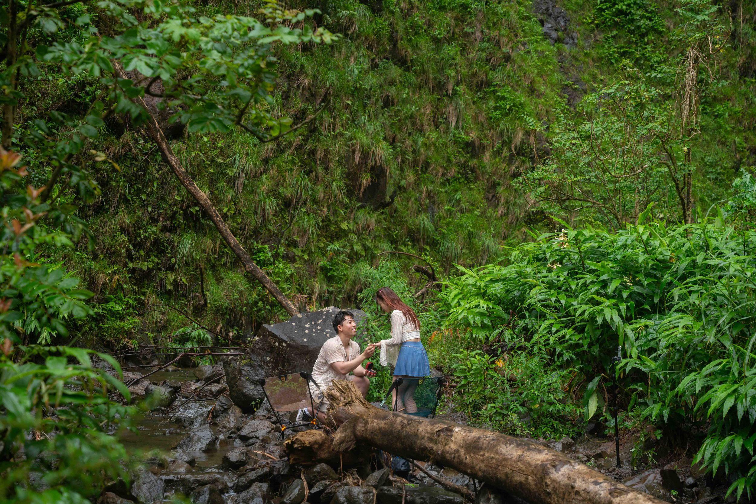 Proposal engagement couple jungle photo on Maui Hawaii