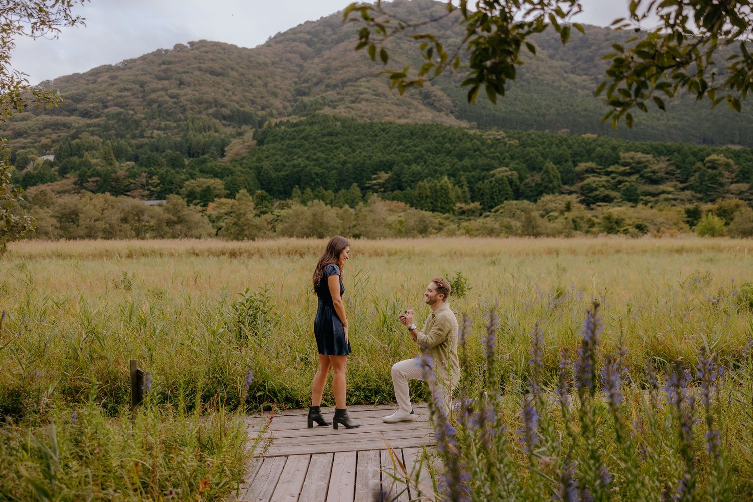 A romantic proposal scene unfolds on a wooden boardwalk surrounded by tall grass and mountains in the background at Hakone Botanical Gardens