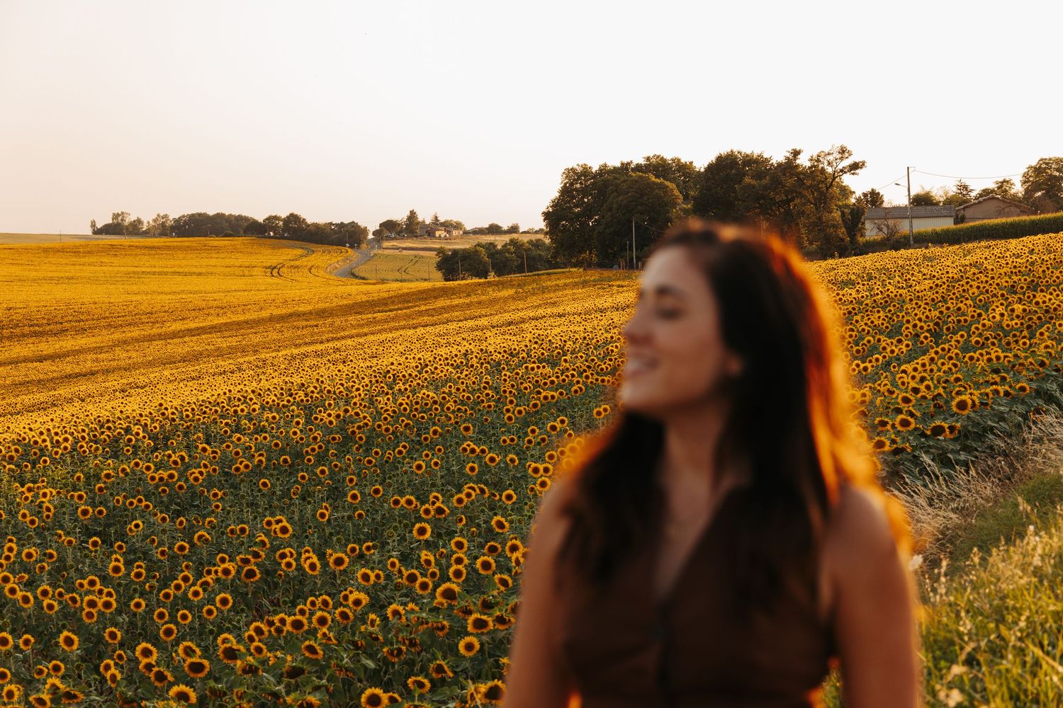 photo portrait dans le champs de tournesol