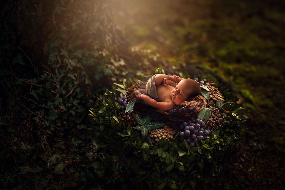 A sleeping baby nestled in a rustic wooden basket surrounded by purple wildflowers in a dreamy forest setting.