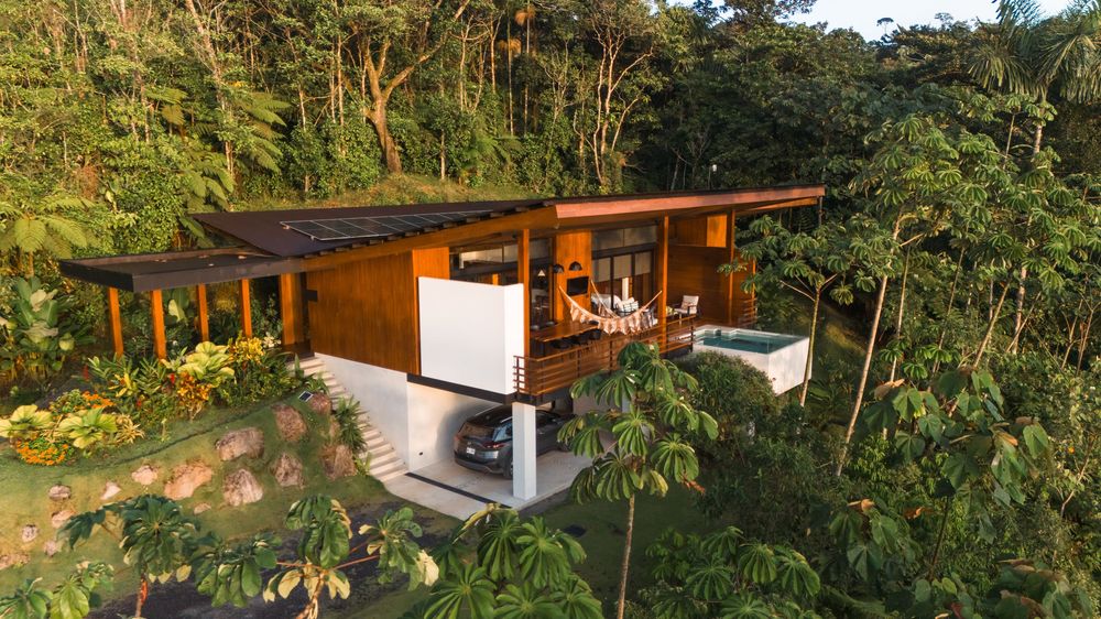 Panoramic view of tropical villa surrounded by dense jungle canopy.
