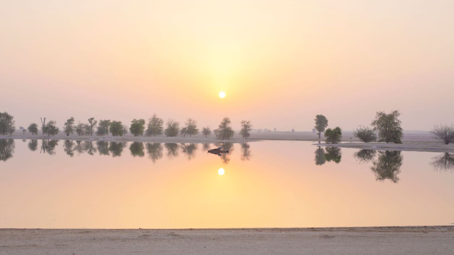 Tranquil sunset over a calm lake with trees silhouetted against an orange sky and perfect reflections in the water.
