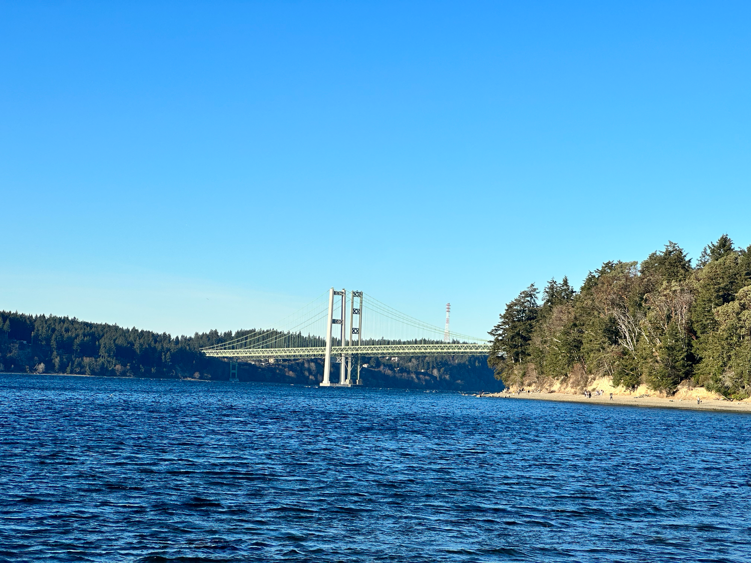 Tacoma Narrows Bridge spans blue waters with evergreen forest shores and clear blue sky in Washington State.