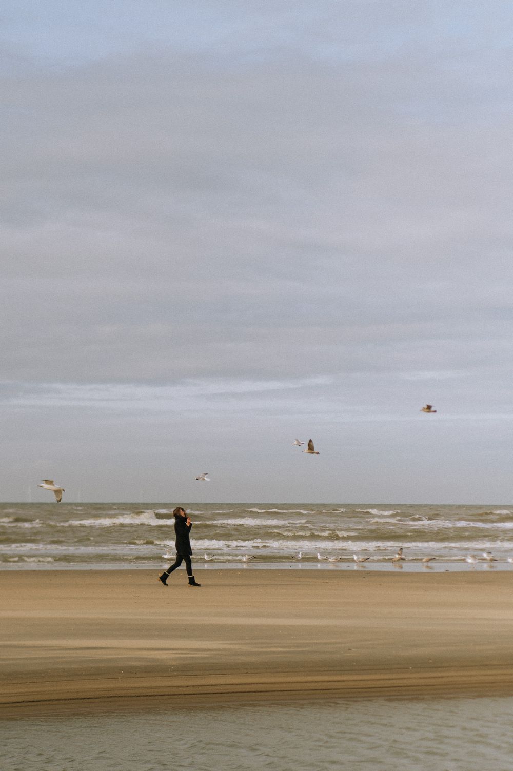 A solitary figure walks along a misty beach shore as seagulls soar overhead in the cloudy sky.