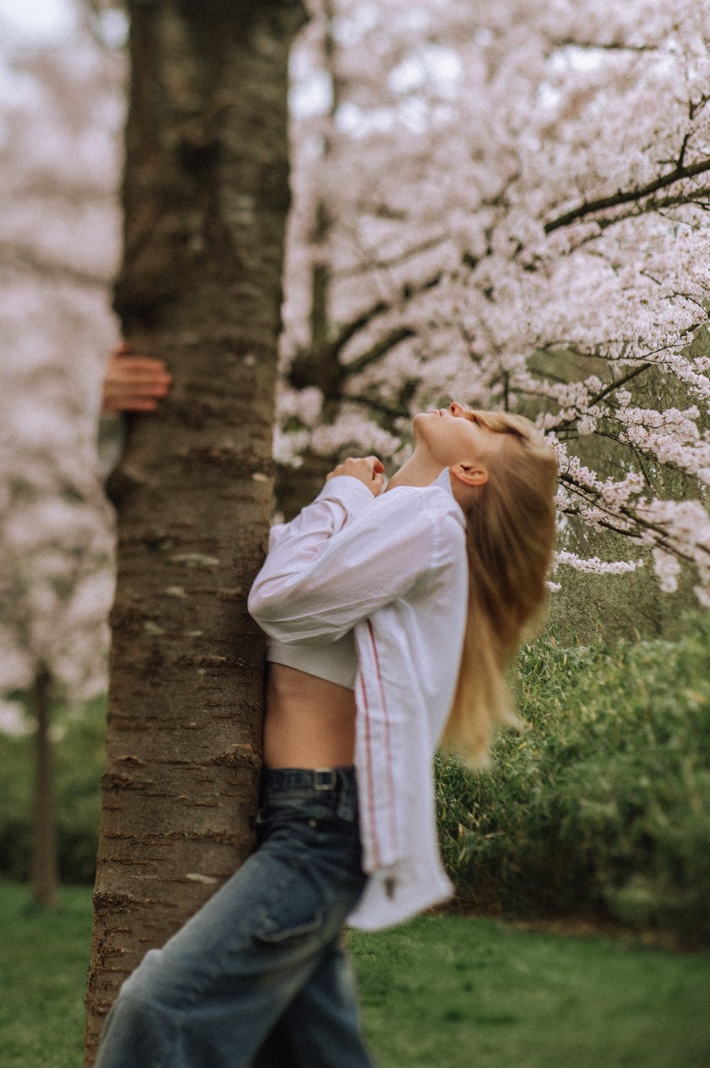 Figure in white shirt and jeans dancing among cherry blossom trees.