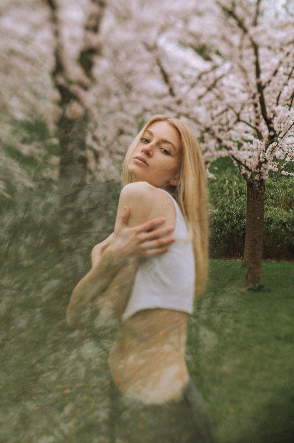 Artistic motion blur photo of dancing figure among spring cherry blossoms.