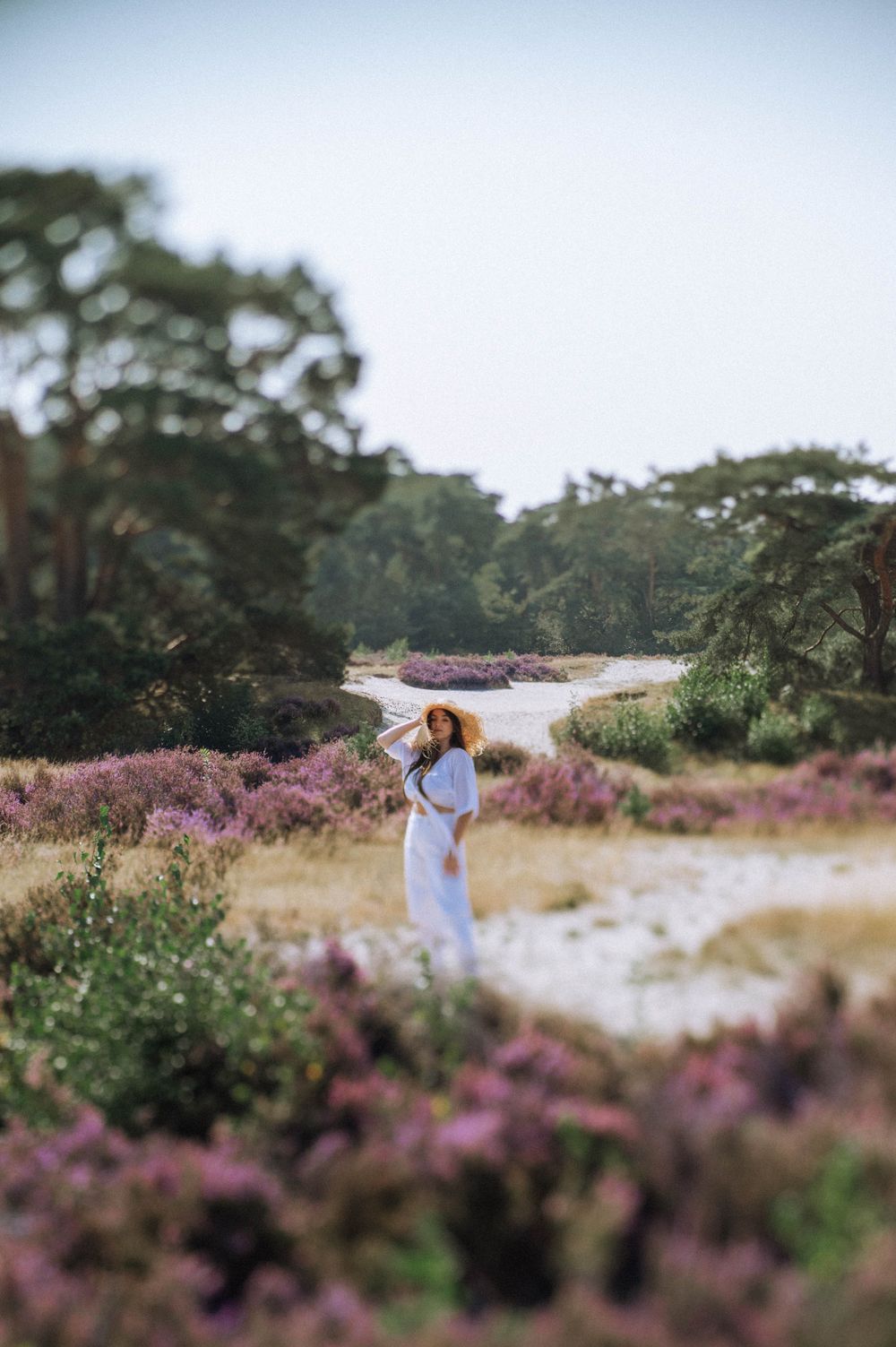 A figure in a white dress stands among blooming purple heather fields on a sunny day.