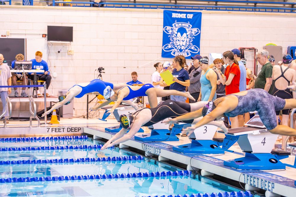 Swimmers dive into a competition pool during a swim meet with blue lane dividers and spectators in the background.