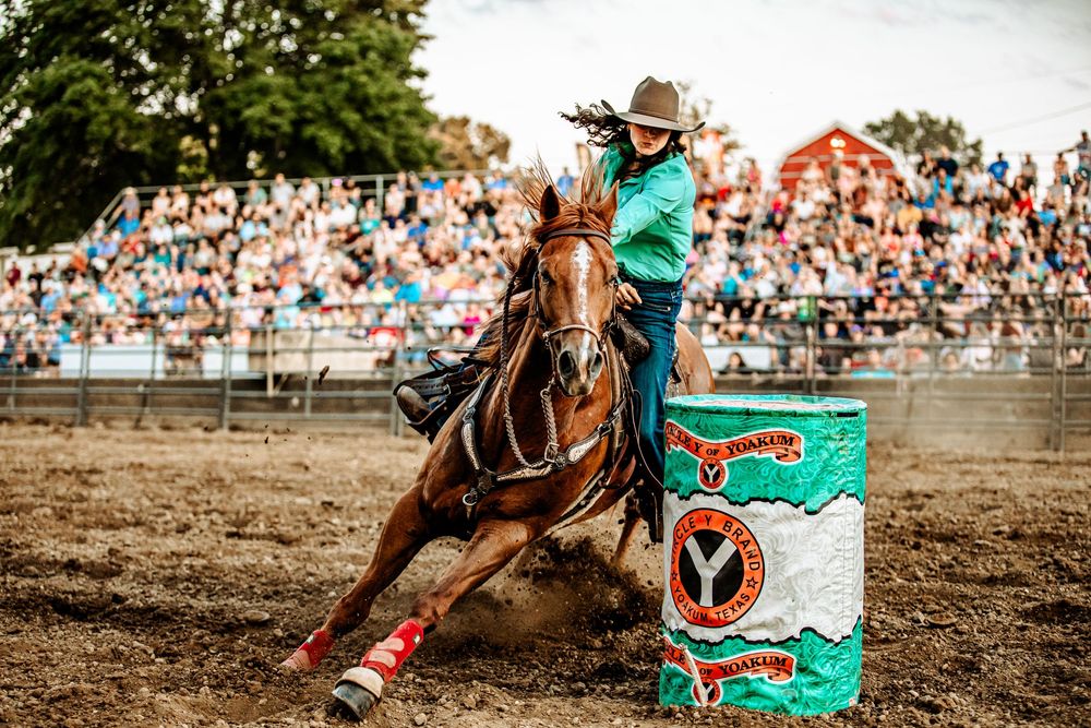 A sequence of rodeo action shots showing riders competing in a dusty arena with spectators watching from the stands.