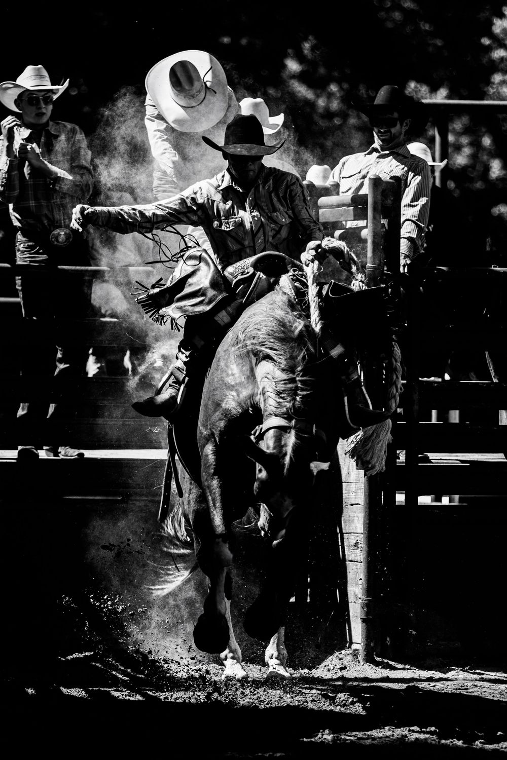 Black and white photo captures dramatic rodeo bronc riding action with dust flying in an outdoor arena.