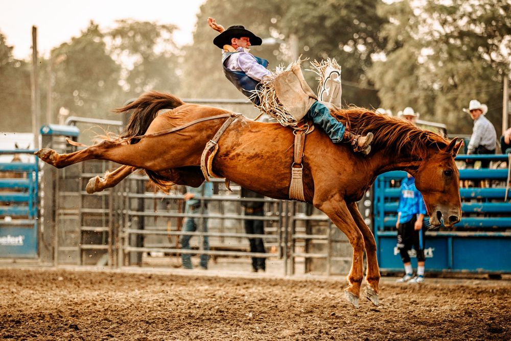 Multiple action shots of rodeo barrel racing with riders guiding horses around barrels in an arena.
