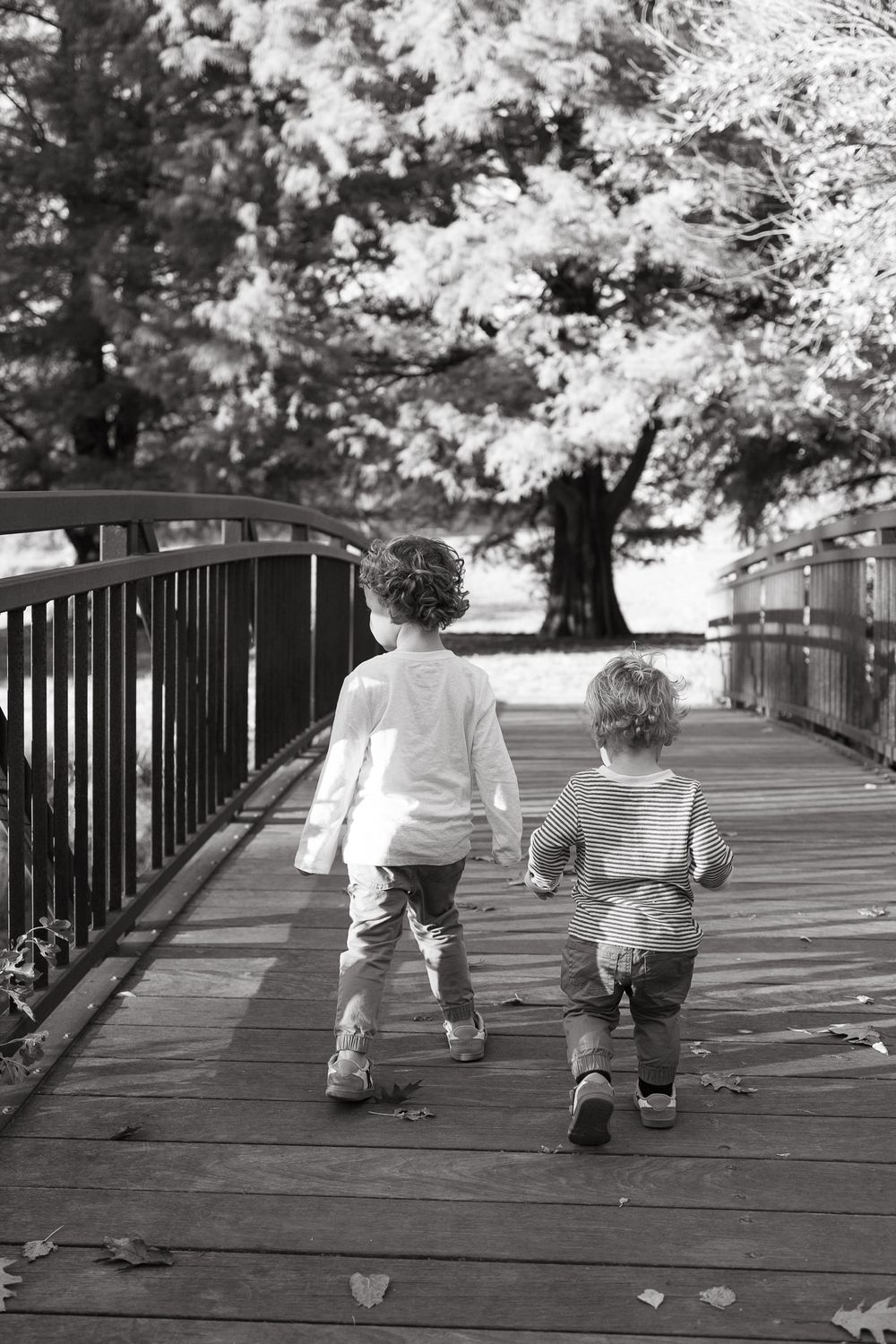 Family photographers kansas city