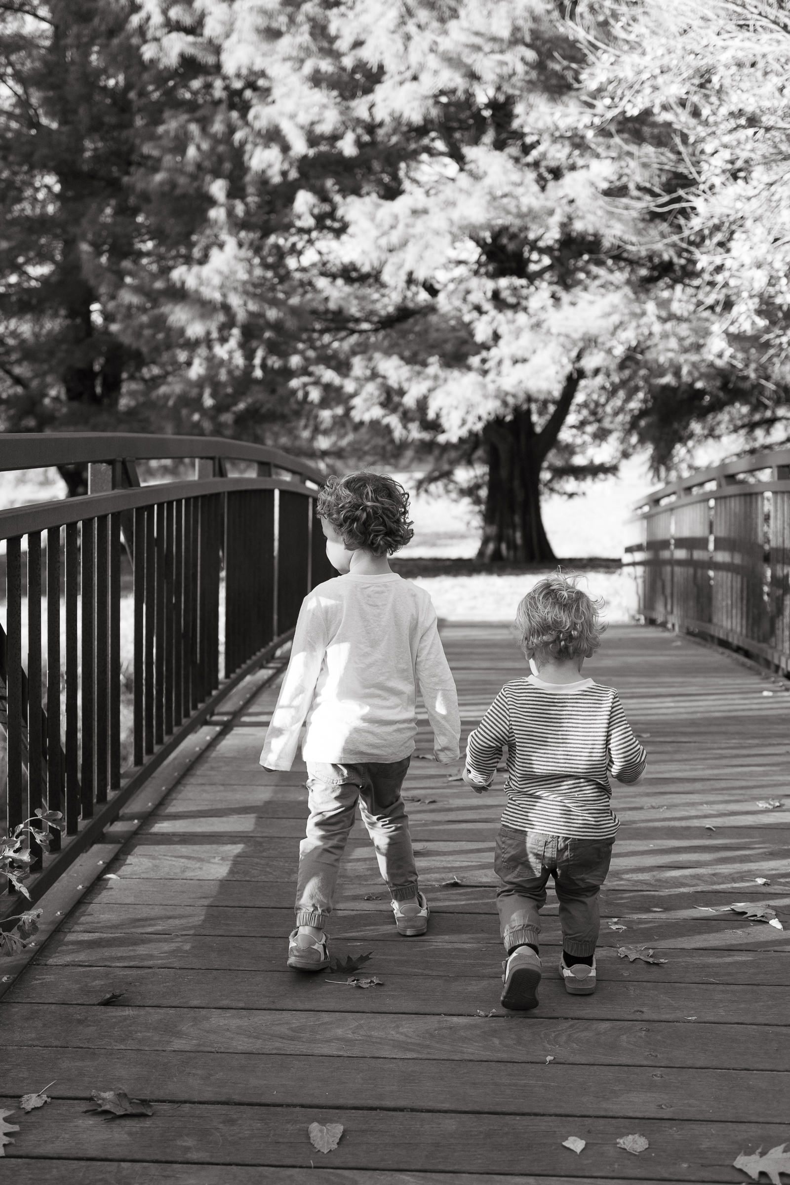 Family photographers kansas city