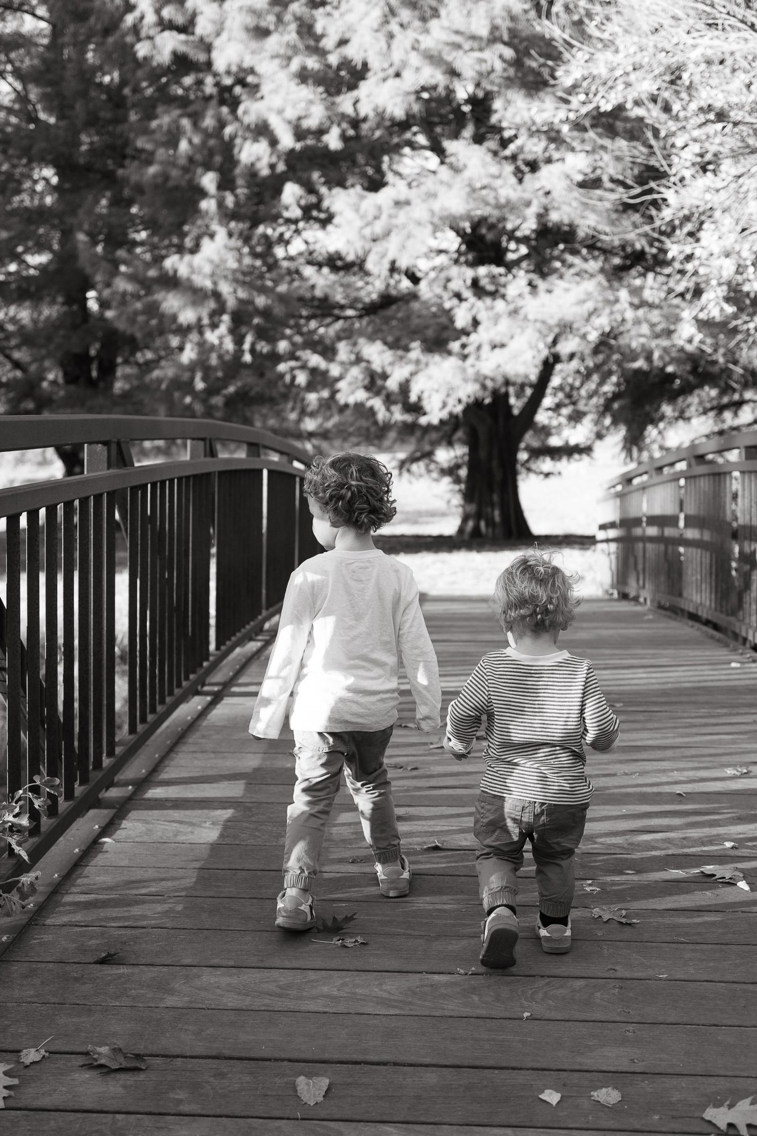 Family photographers kansas city