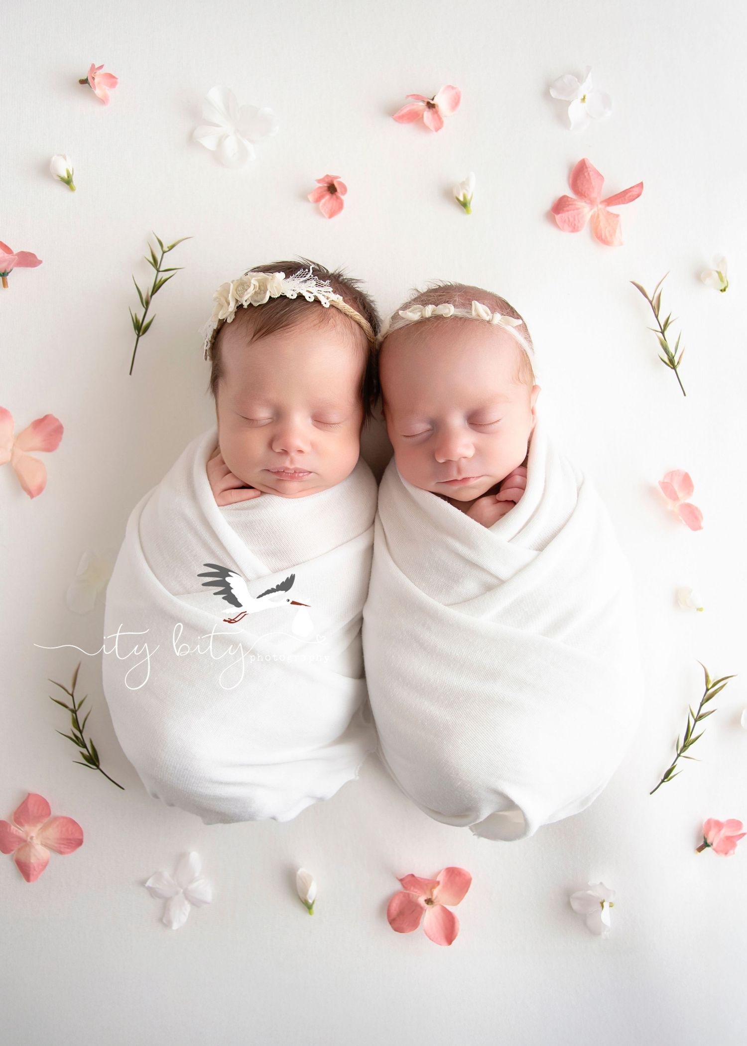 Best Newborn Photographer Twin Baby Girls Luxury Photos North Olmsted
