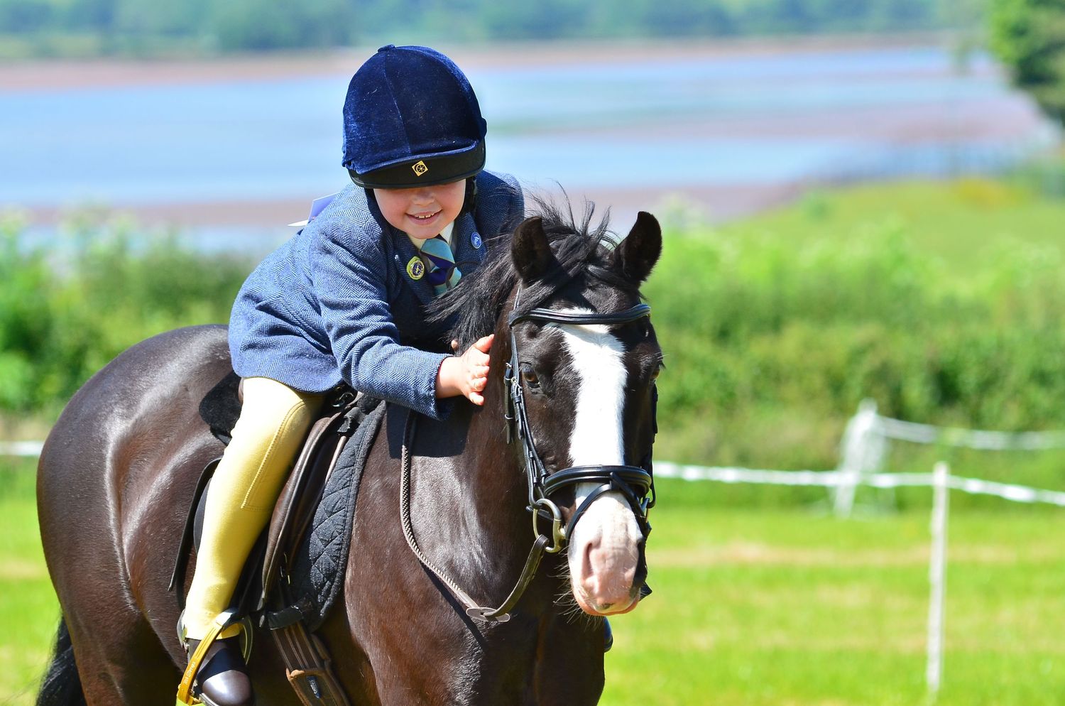 A horse and rider in casual attire training near a waterfront setting.