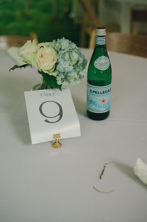 Weddings + Elopements