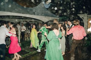 Weddings + Elopements