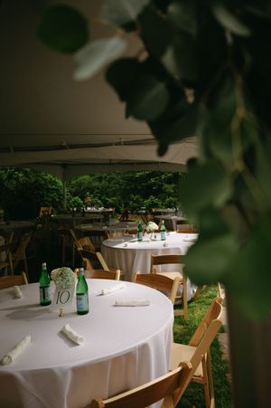 Weddings + Elopements