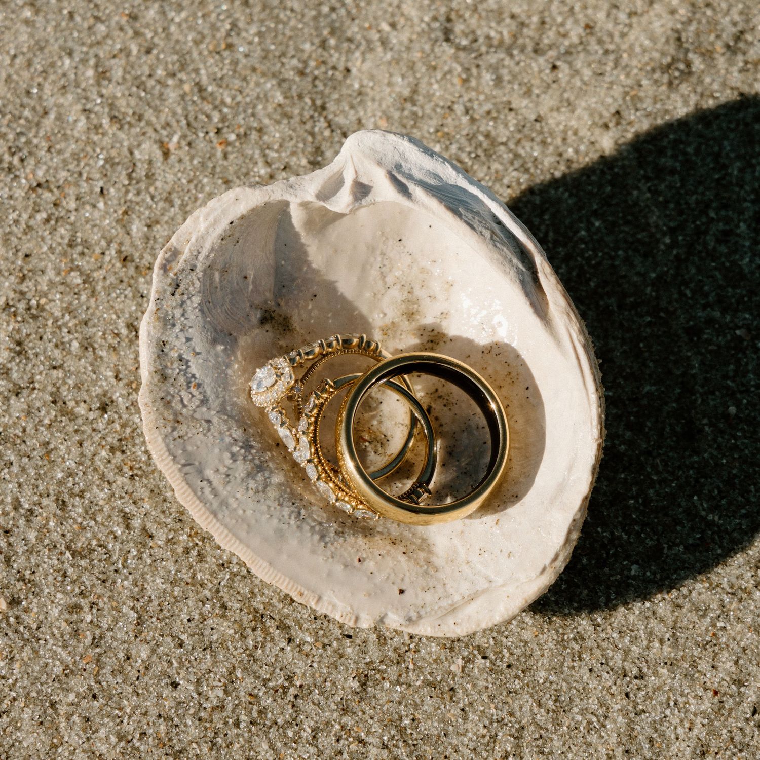 Two gold wedding rings sit atop a small white seashell on sandy beach in bright sunlight.