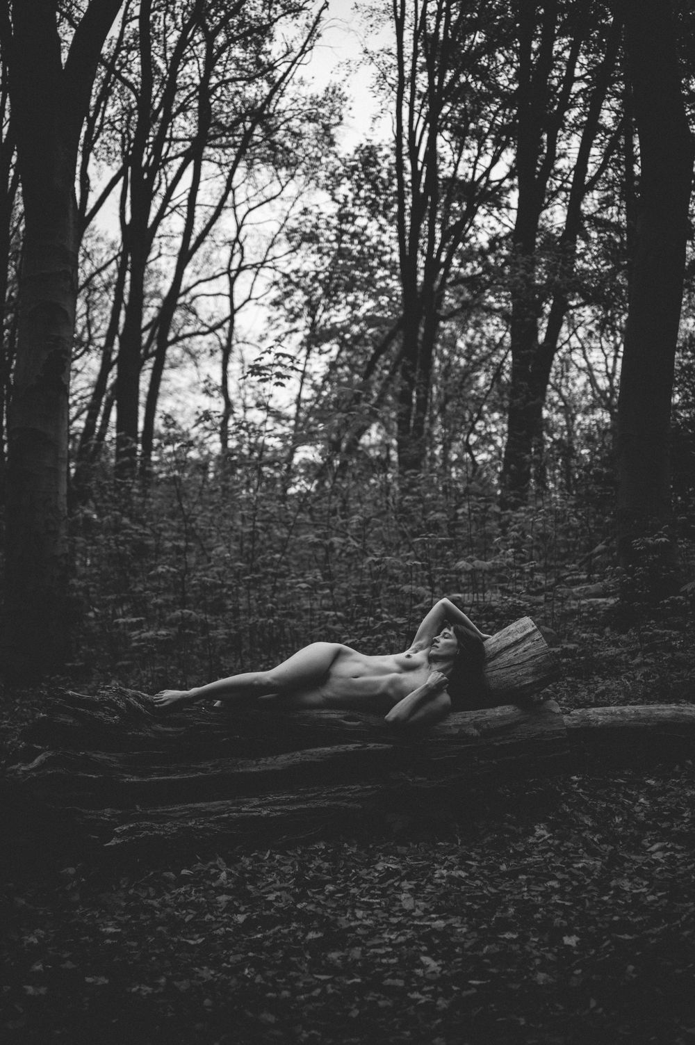 Black and white artistic photograph of a figure reclining in a forest setting among dark trees and leaves.
