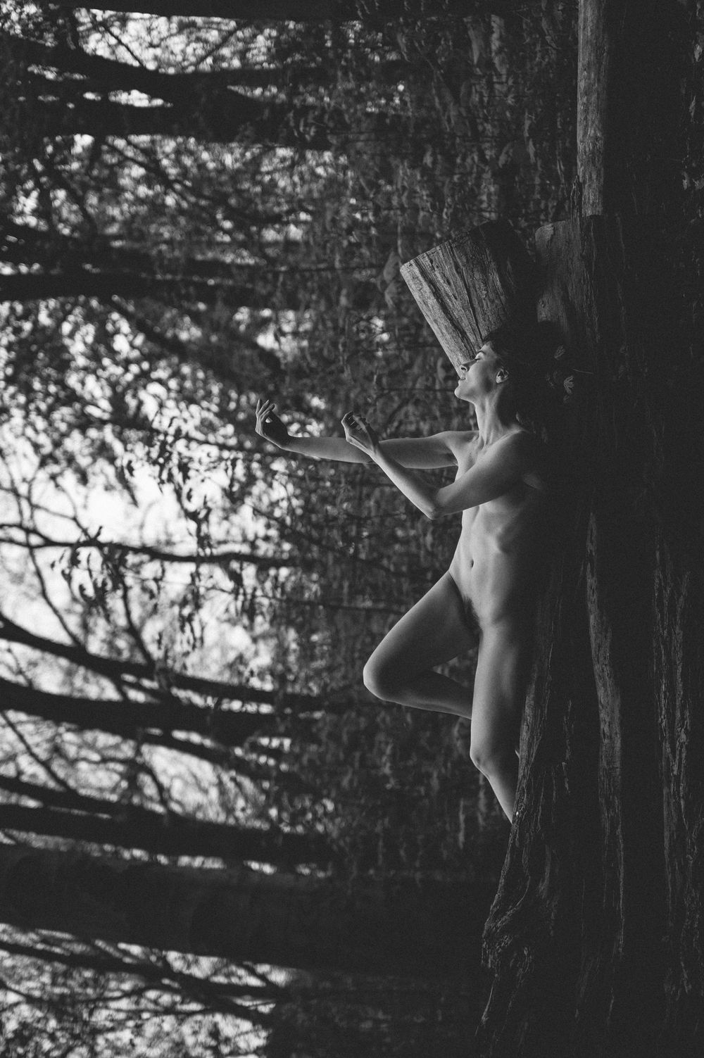 A black and white artistic nude silhouette leans against a tree in a moody forest setting.