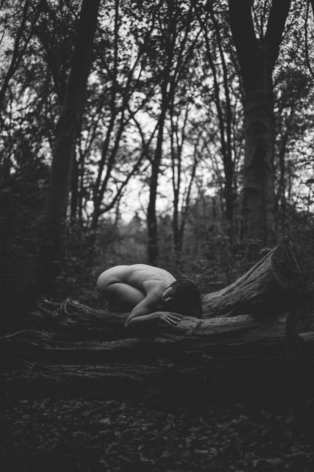 A figure curled up on a fallen log in a dark moody forest, captured in black and white photography.