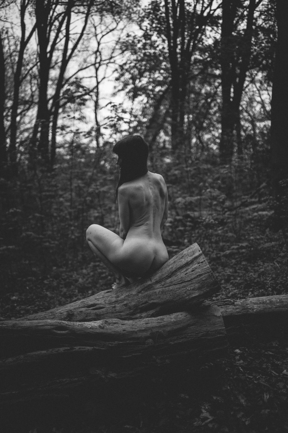 Black and white artistic nude photo of a seated silhouette on a fallen log by water in a misty forest setting.