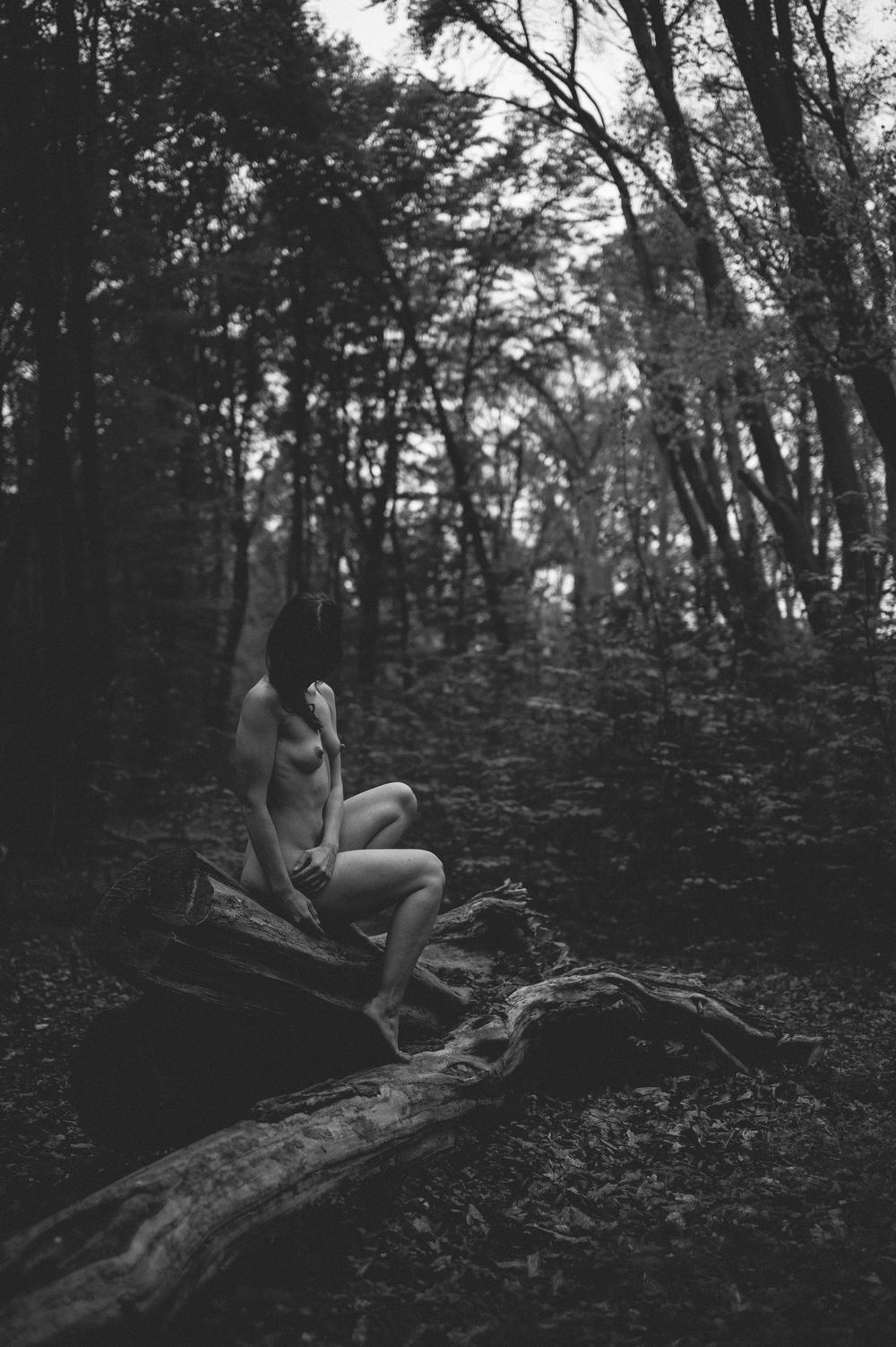 Artistic black and white forest photography featuring a nude silhouette seated on a fallen log in moody lighting.