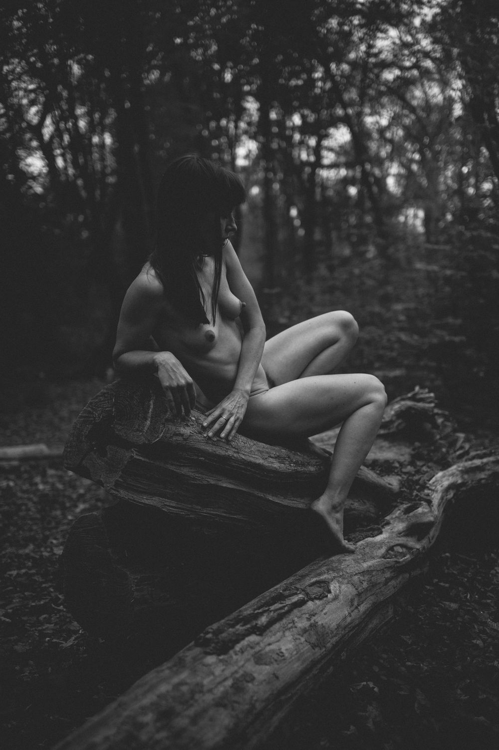 A dramatic black and white photo series showing a figure reclining on a fallen log in a shadowy forest setting.