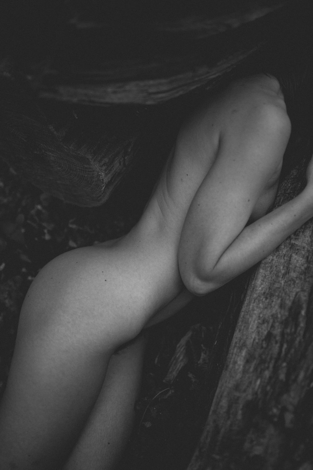 Black and white artistic nude photograph showing curves and shadows against a dark textured background.