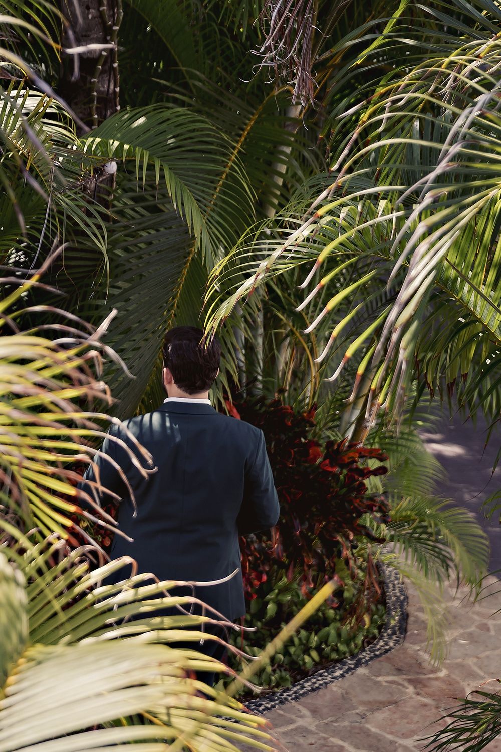 A person in formal attire stands on stone path surrounded by lush tropical palm fronds in a garden setting.