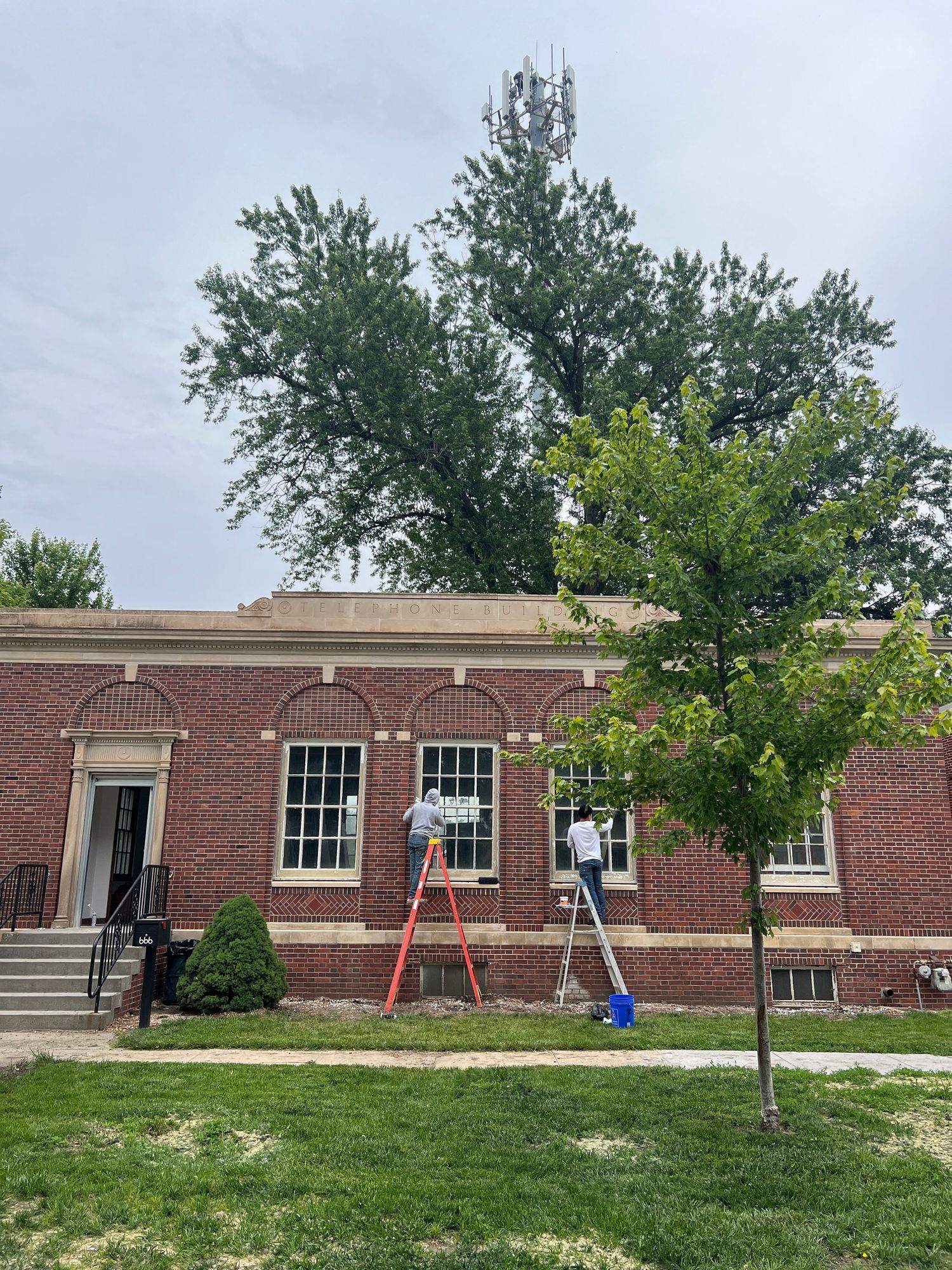 Red ladder propped against brick building with trees and lawn in foreground.